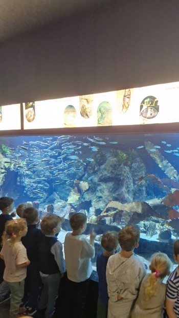 IMG-20260922-WA0003
