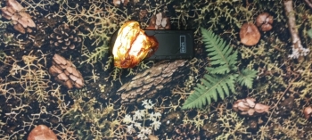 IMG-20261007-WA0016